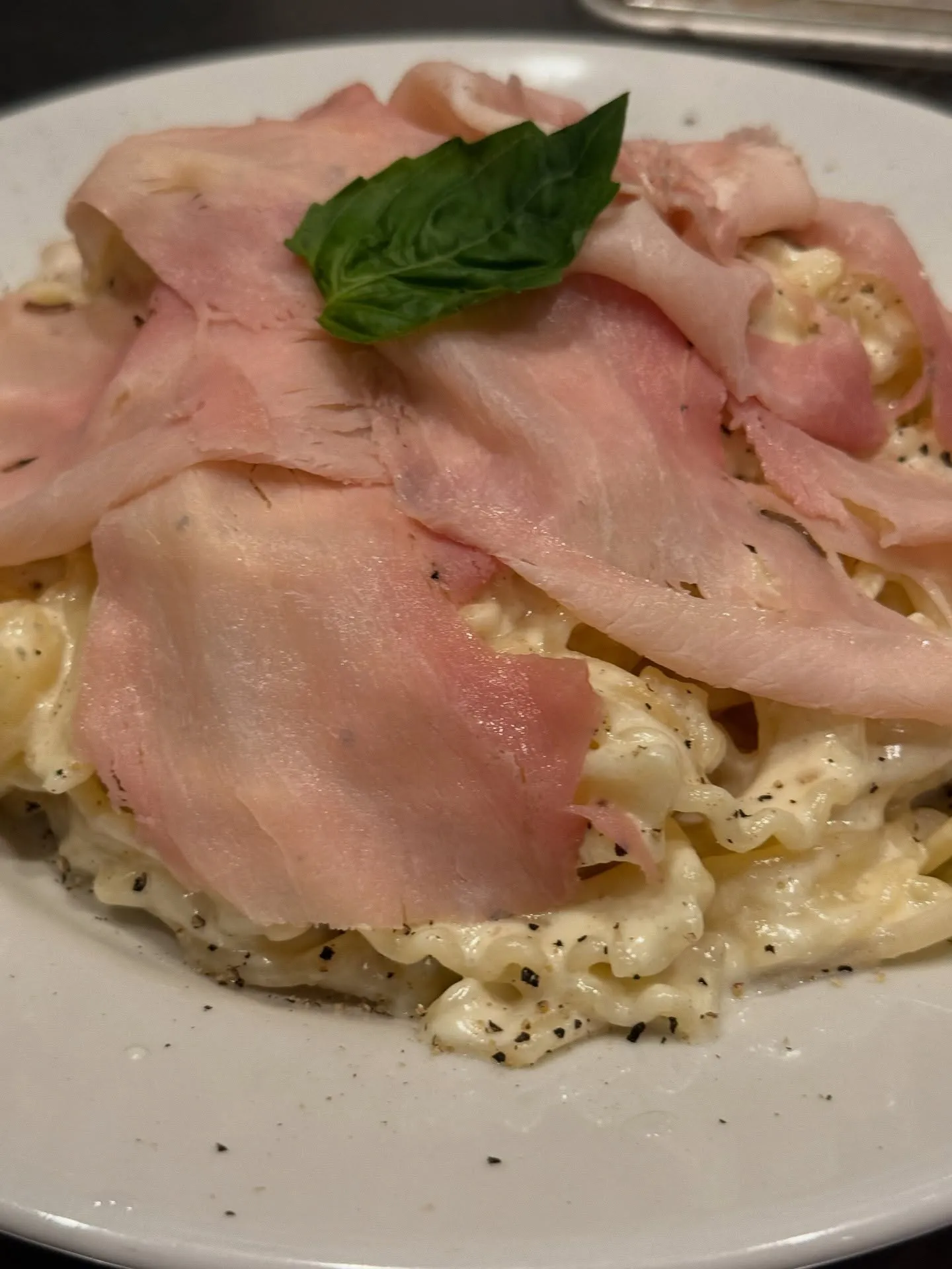 今日のパスタ